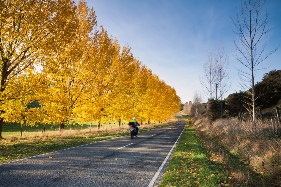 Motorcycle riding past road