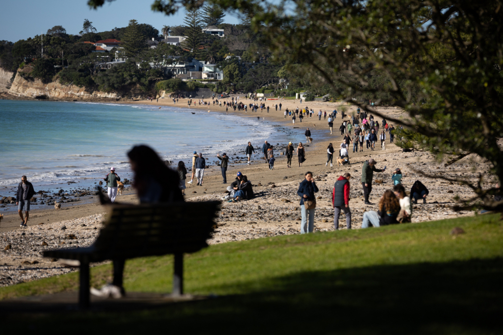 Mercedes-Benz North Shore.