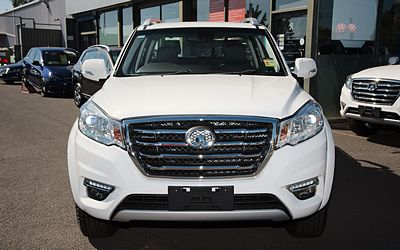 A GREAT WALL STEED vehicle